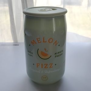 DW Home Soda Pop Candle Collection MELON FIZZ Mini Single Wick Candle NEW